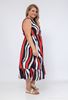 Immagine di CURVY GIRL ZEBRA DRESS